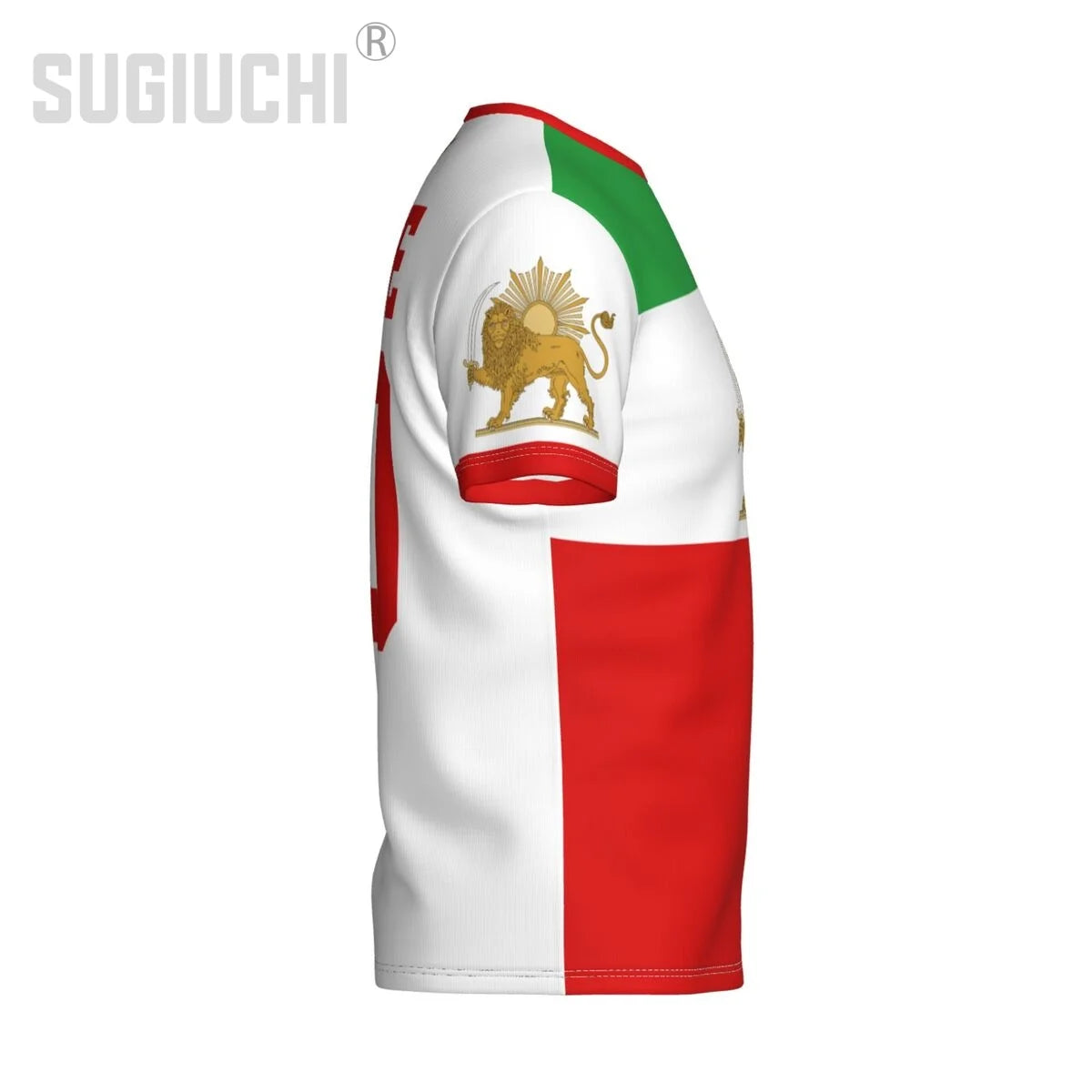 Lion And Sun Flag Of Iran 3D T-shirts For Men Women