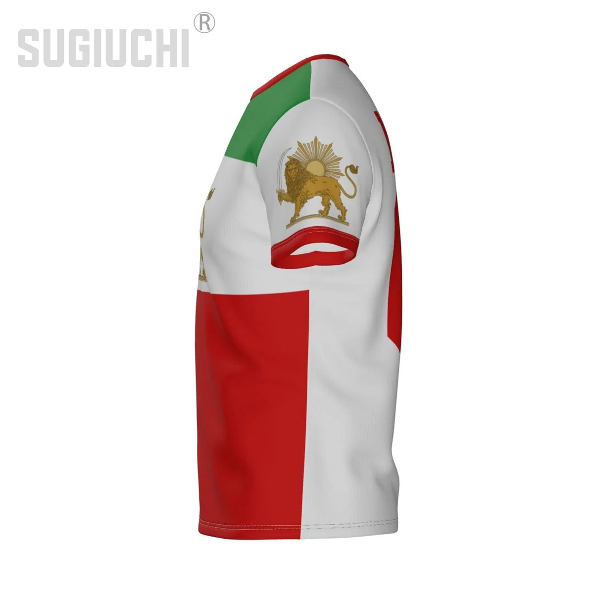 Lion And Sun Flag Of Iran 3D T-shirts For Men Women