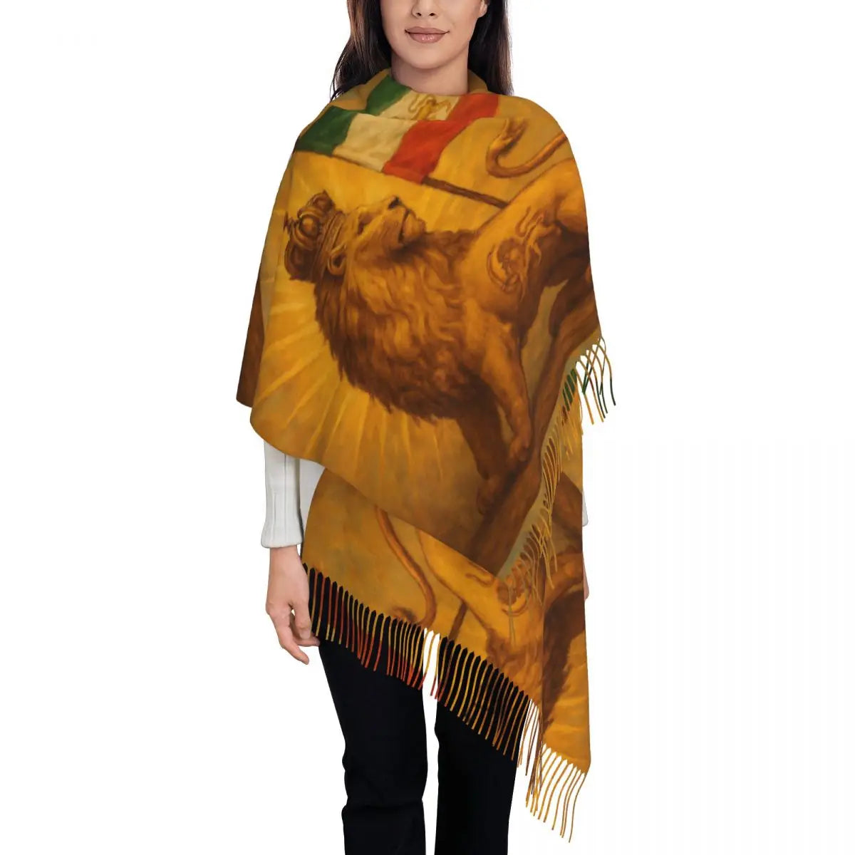 Flag Of Iran Scarf Ladies Headwear Scarves with Long Tassel Winter Retro